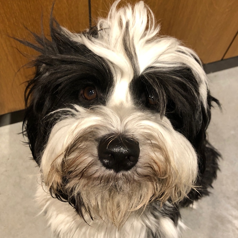 Meet your Posher, Blaire